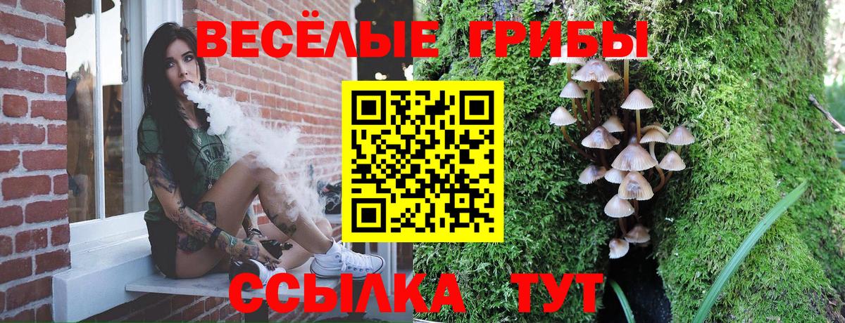 Галлюциногенные грибы мухоморы  Вход с VPN  Псилоцибиновые грибы Psilocybe  Златоуст 